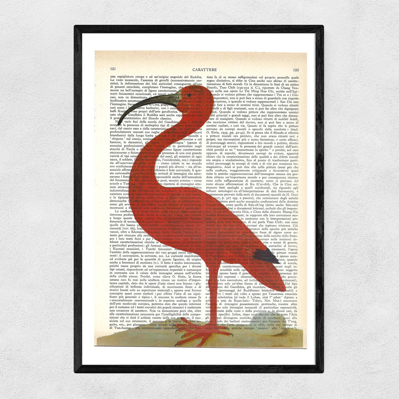 Mix-up: Ibis con uovo, Maria Sibylla Merian