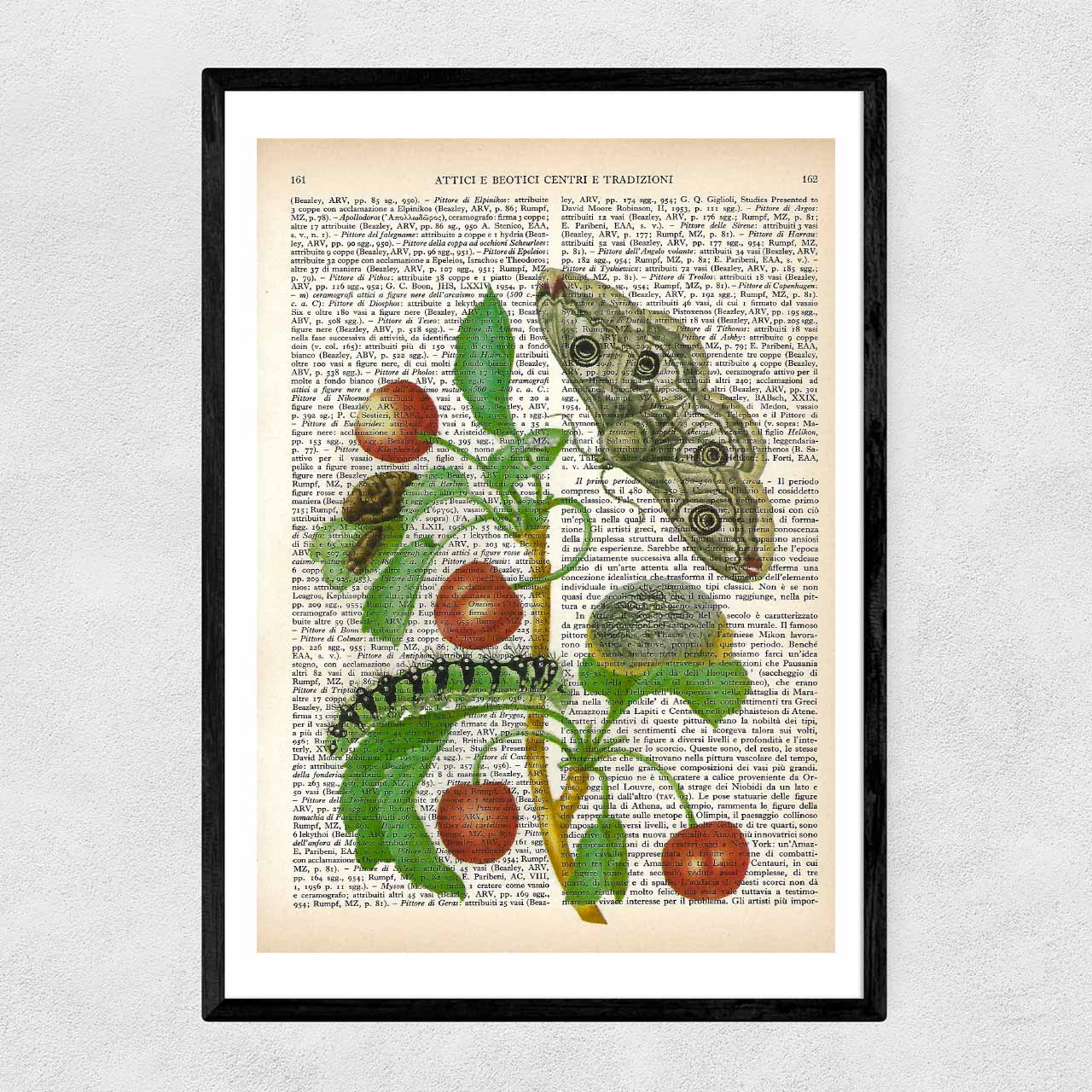 Mix-up: Merian - Metamorfosi di una farfalla monarca