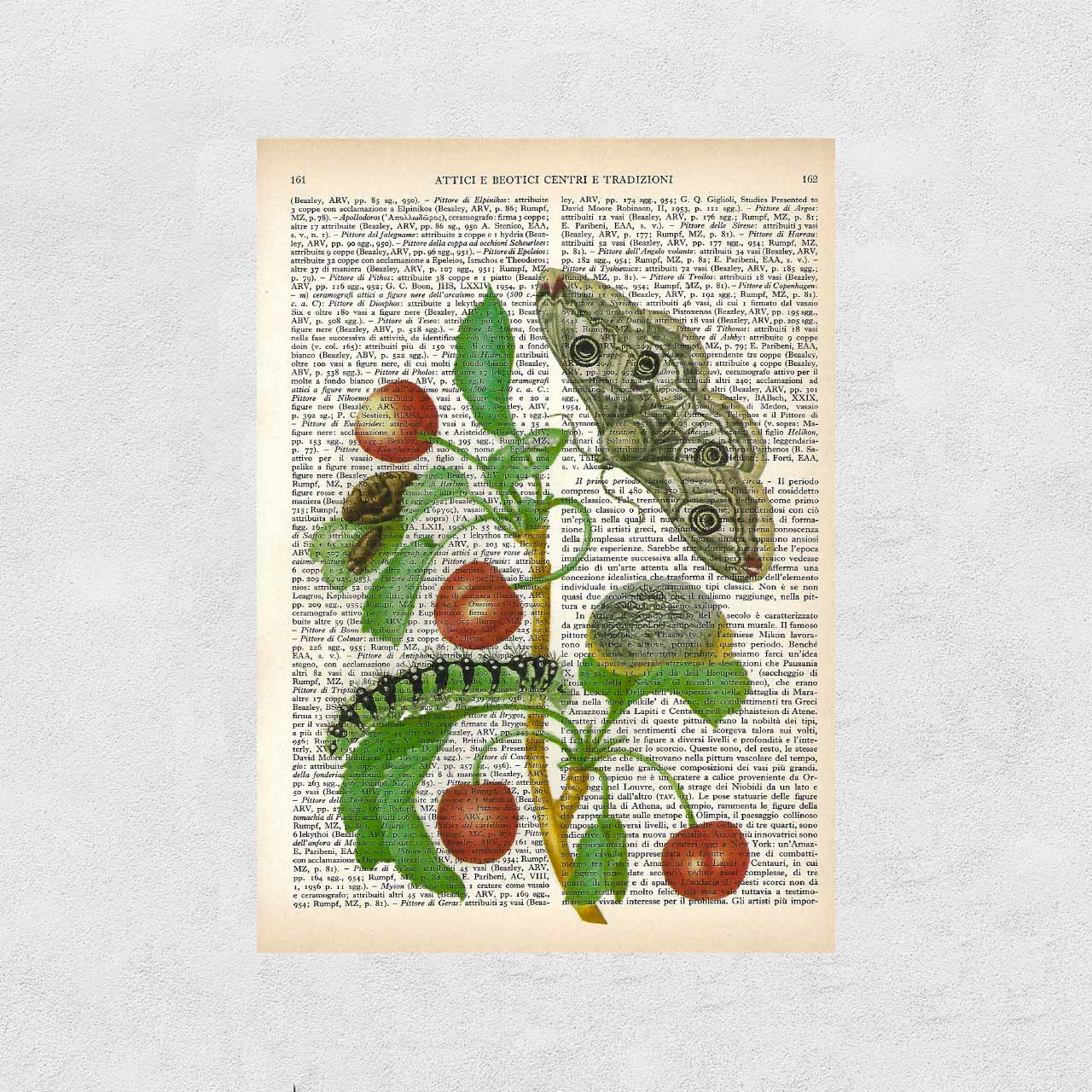 Mix-up: Merian - Metamorfosi di una farfalla monarca