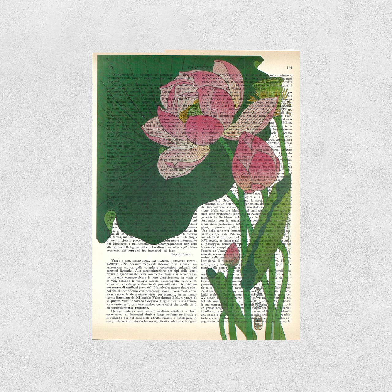 Mix-up: Fiori di loto, Ohara Koson