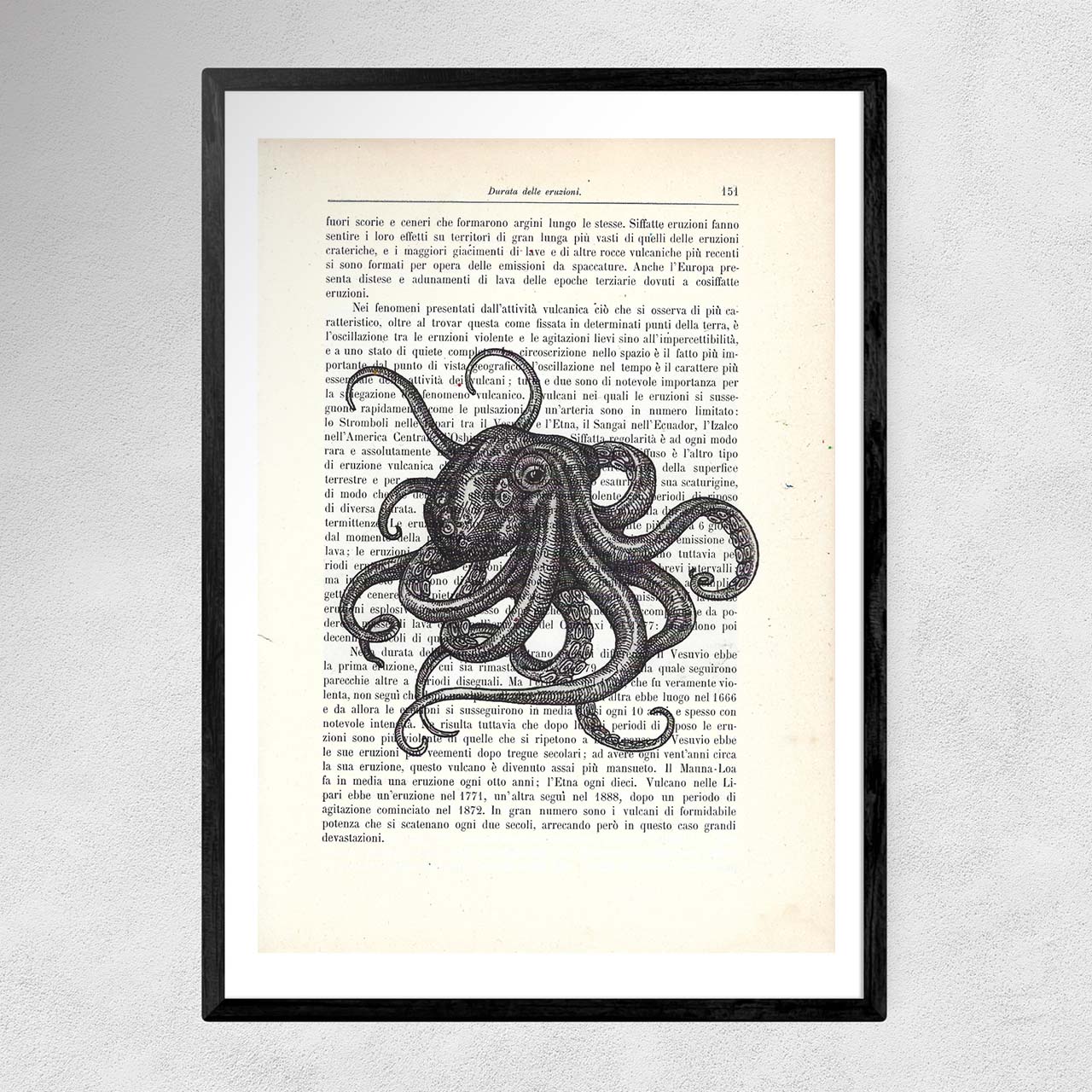 Octopus, immagine con cornice