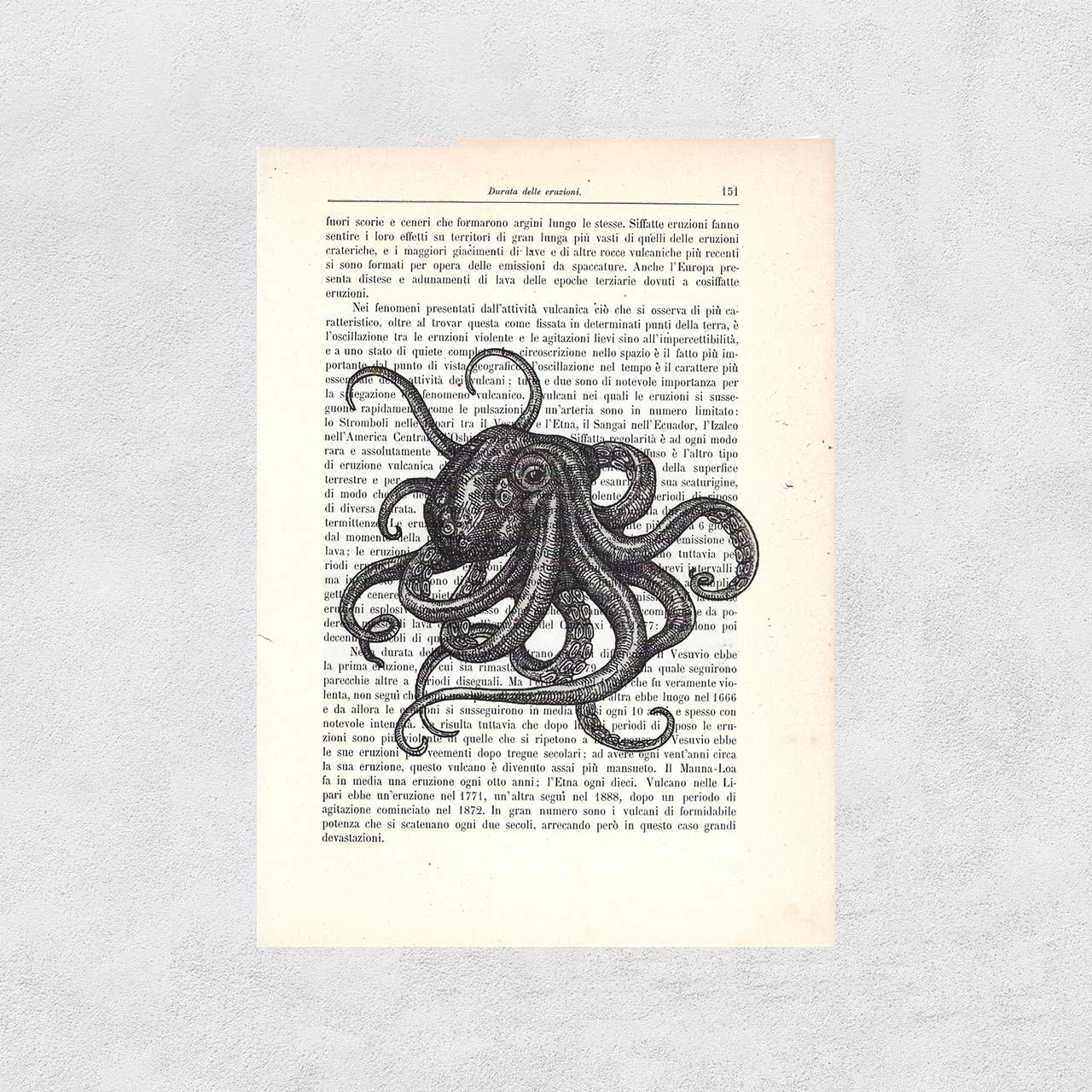 Mix-up dell'octopus, foglio