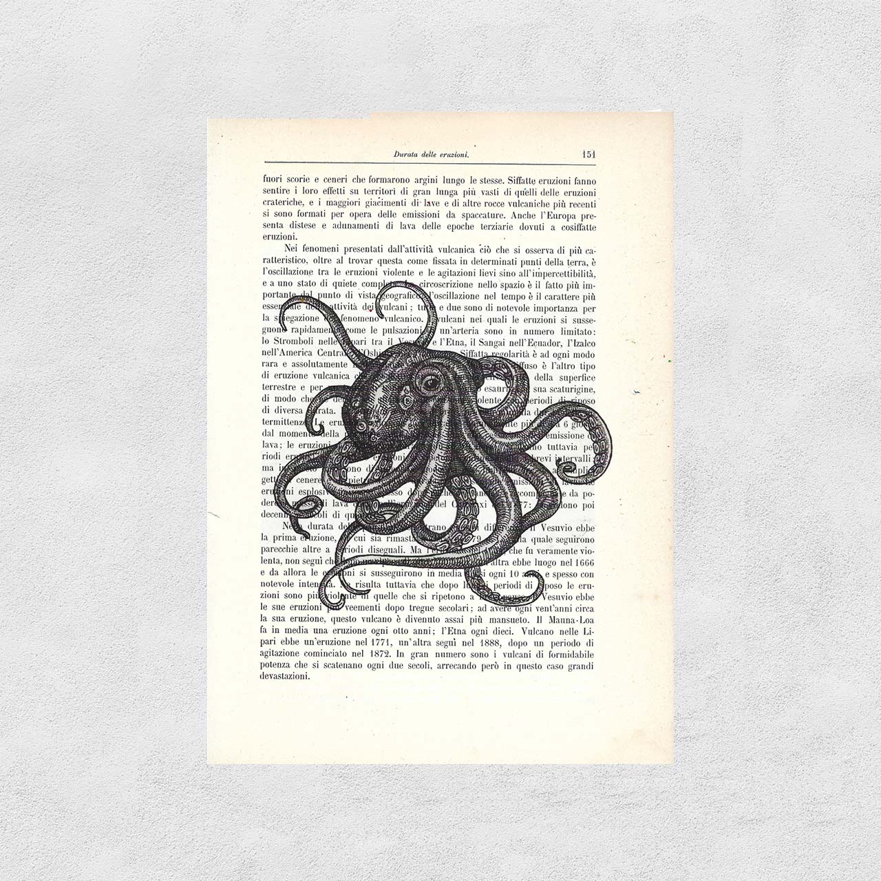 Mix-up dell'octopus, foglio