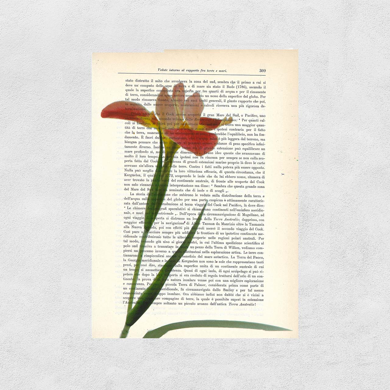 Mix-up: Iris