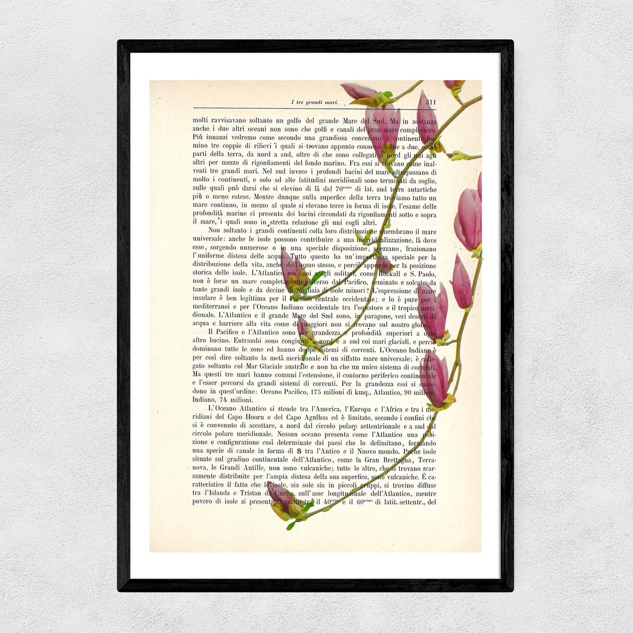 Mix-Up: Hanging Magnolia Flowers