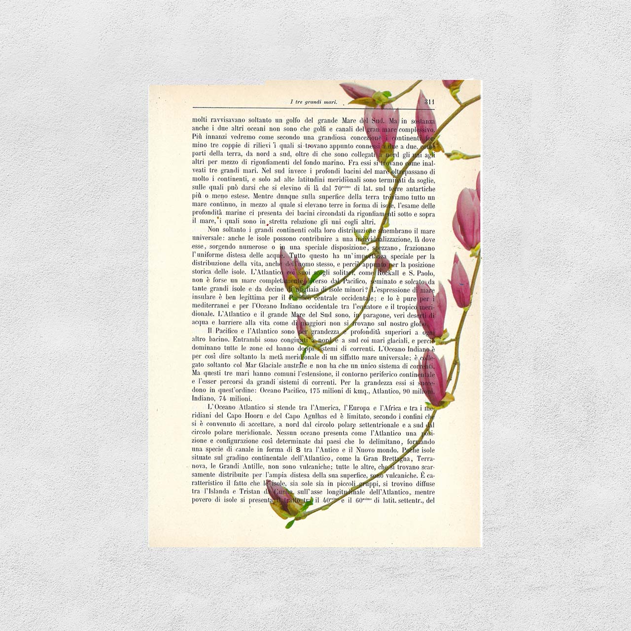 Mix-Up: Fiori pendenti di magnolia