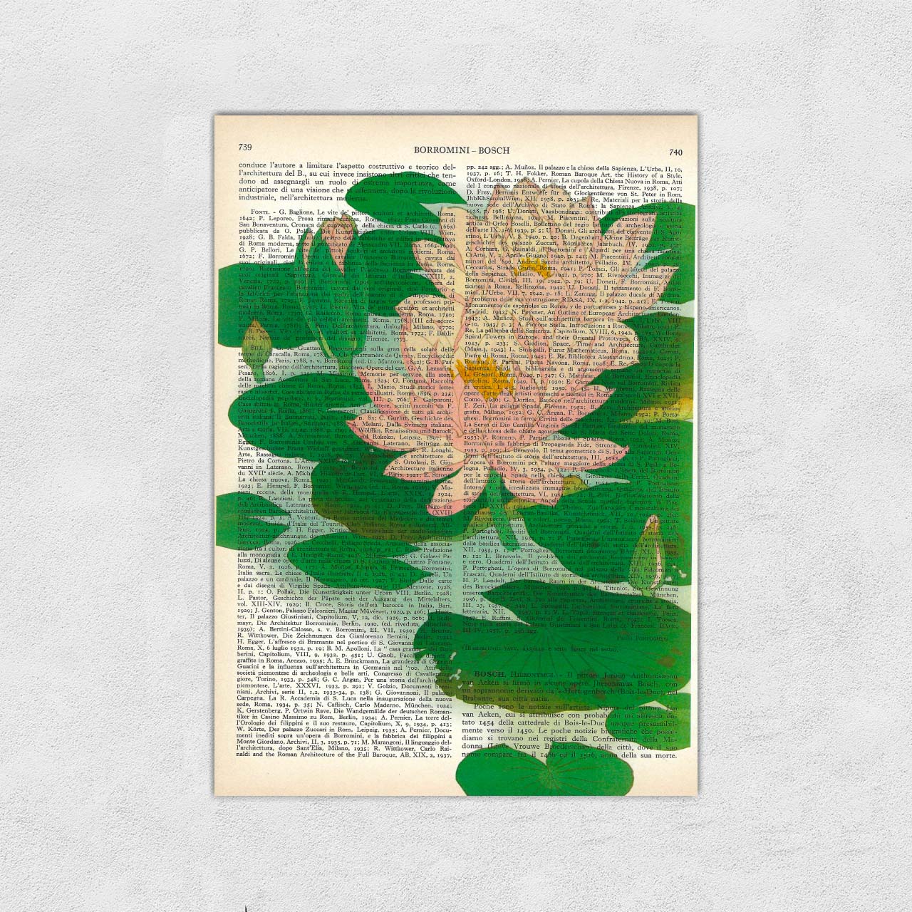 Mix-up: Ninfee, Ohara Koson