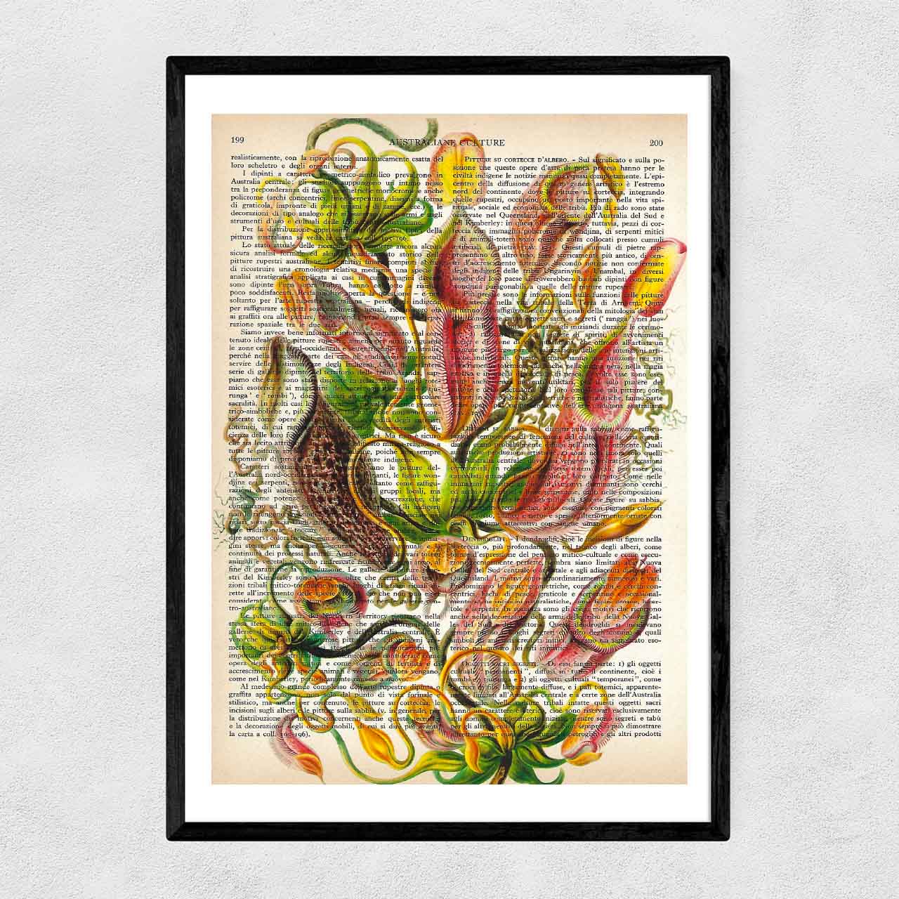 Mix-up: Fiori di Nepenthes – Ernst Haeckel