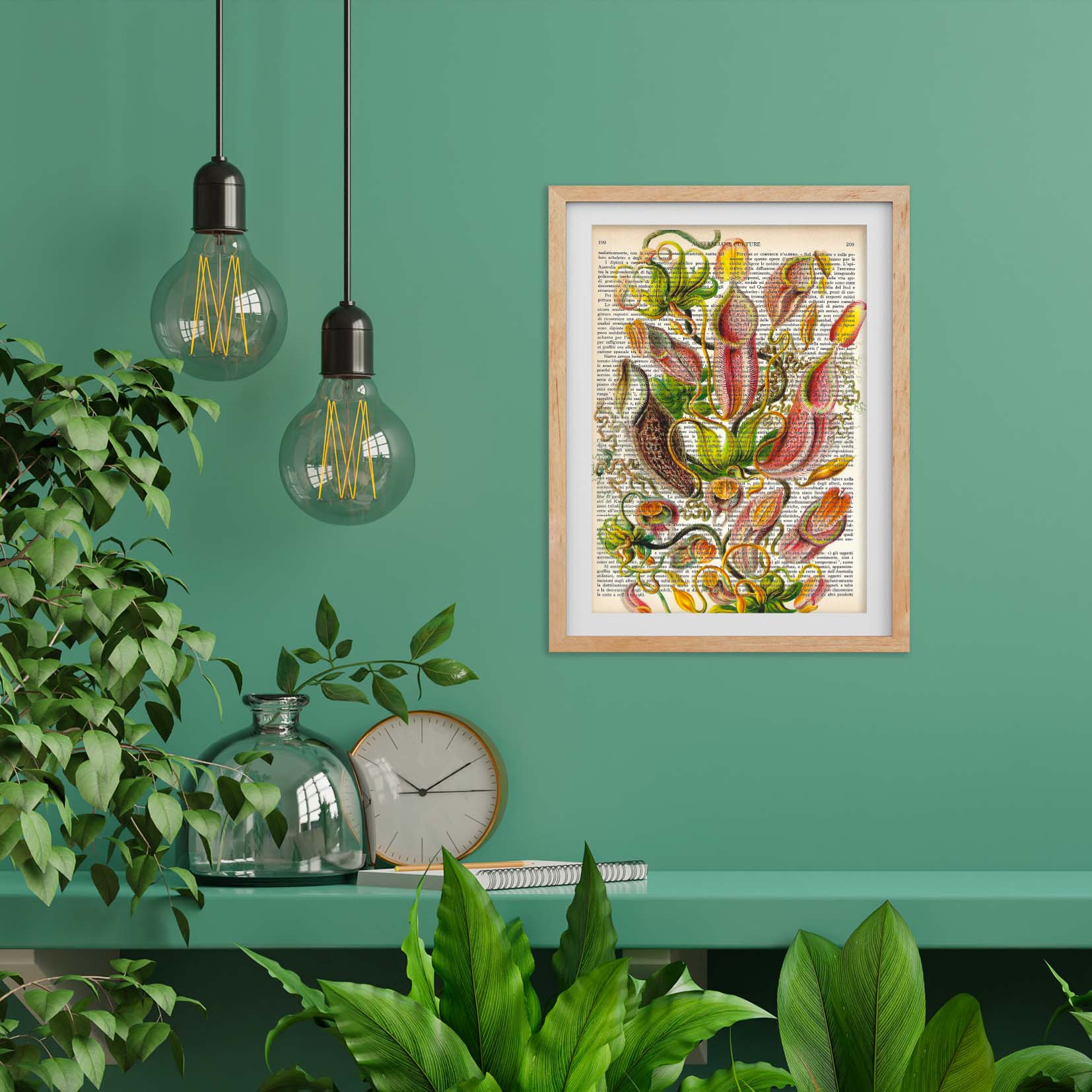 Mix-up: Fiori di Nepenthes – Ernst Haeckel