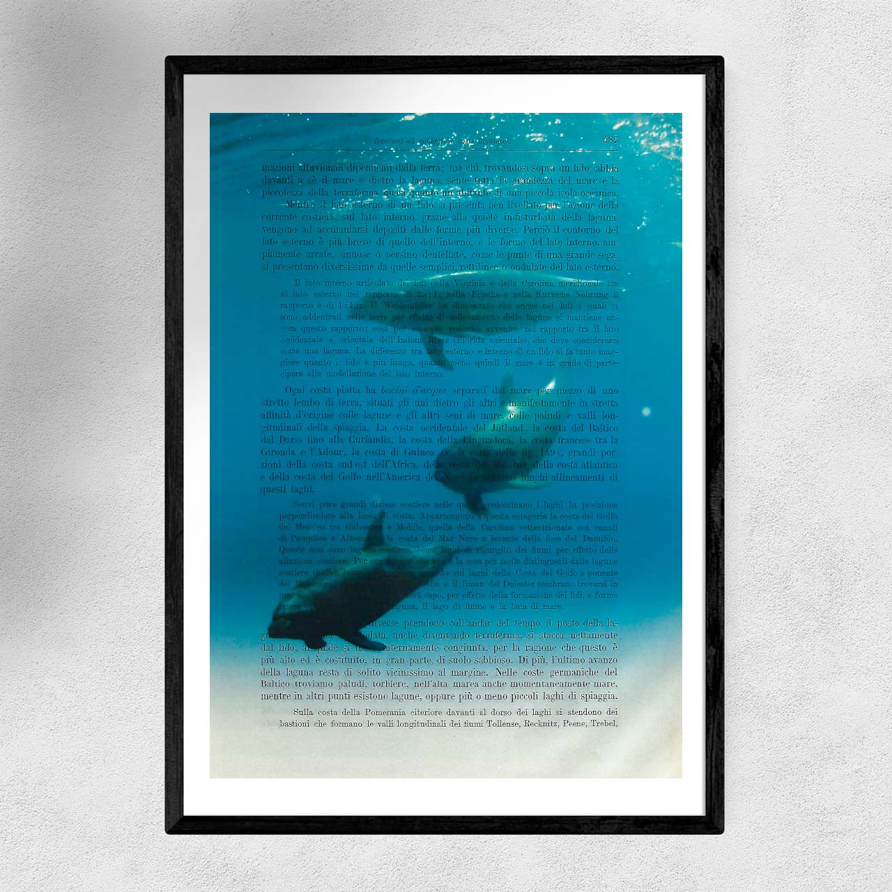 Mix-up: Delfini nel mare