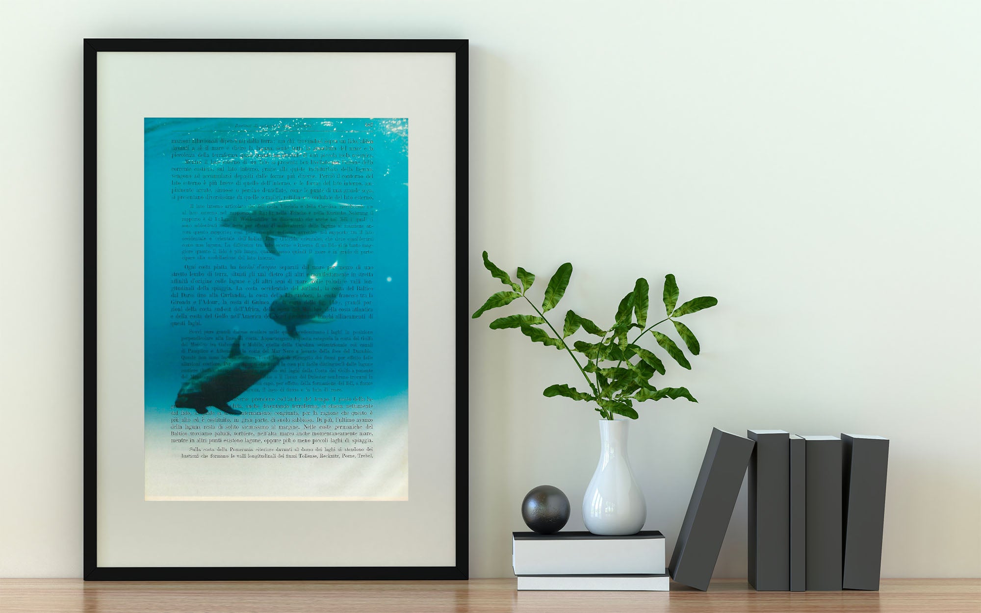 Mix-up: Delfini nel mare