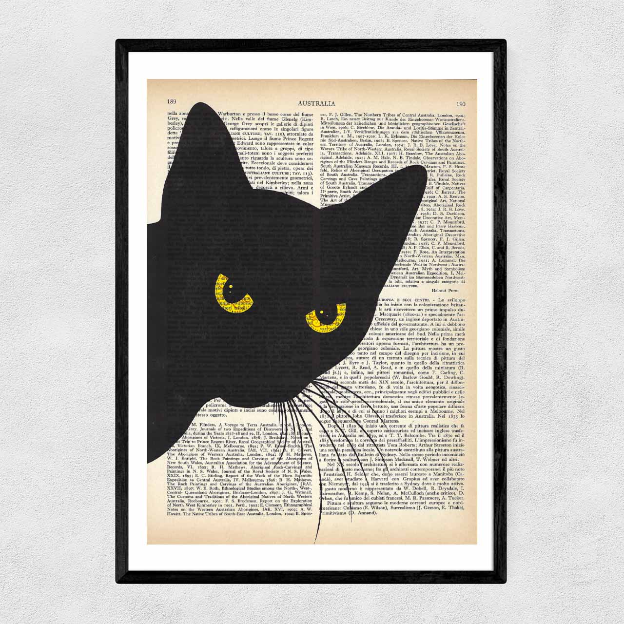 Mix-up: A curious black cat!