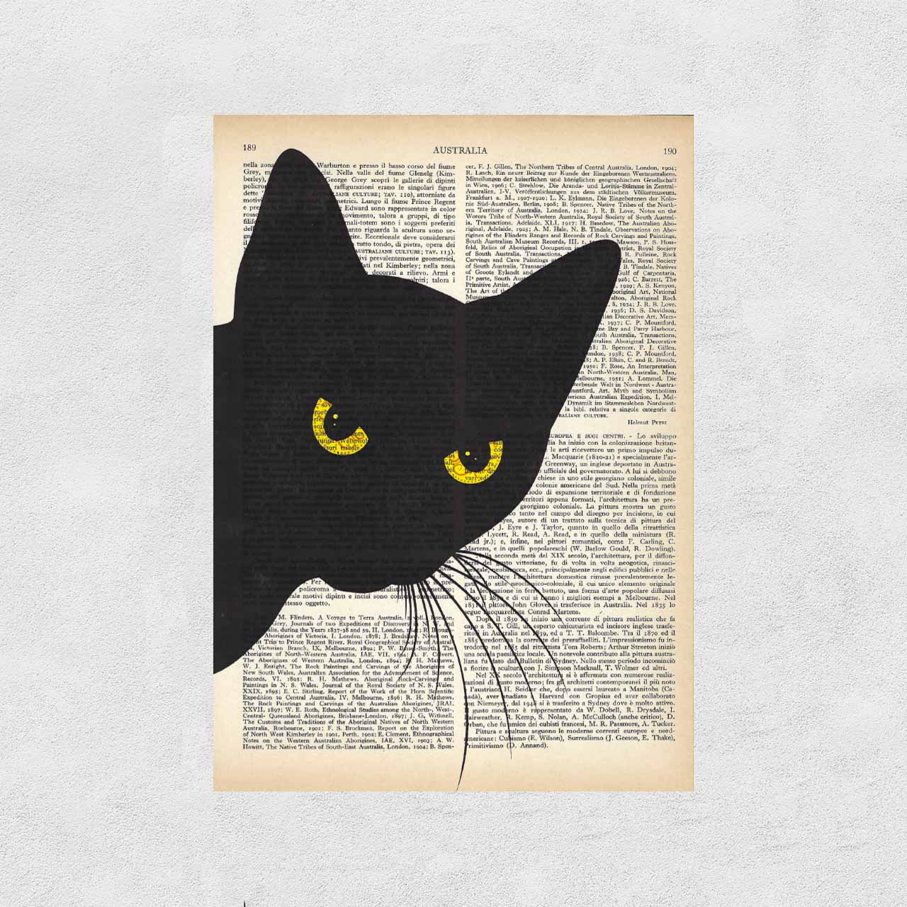 Mix-up: A curious black cat!