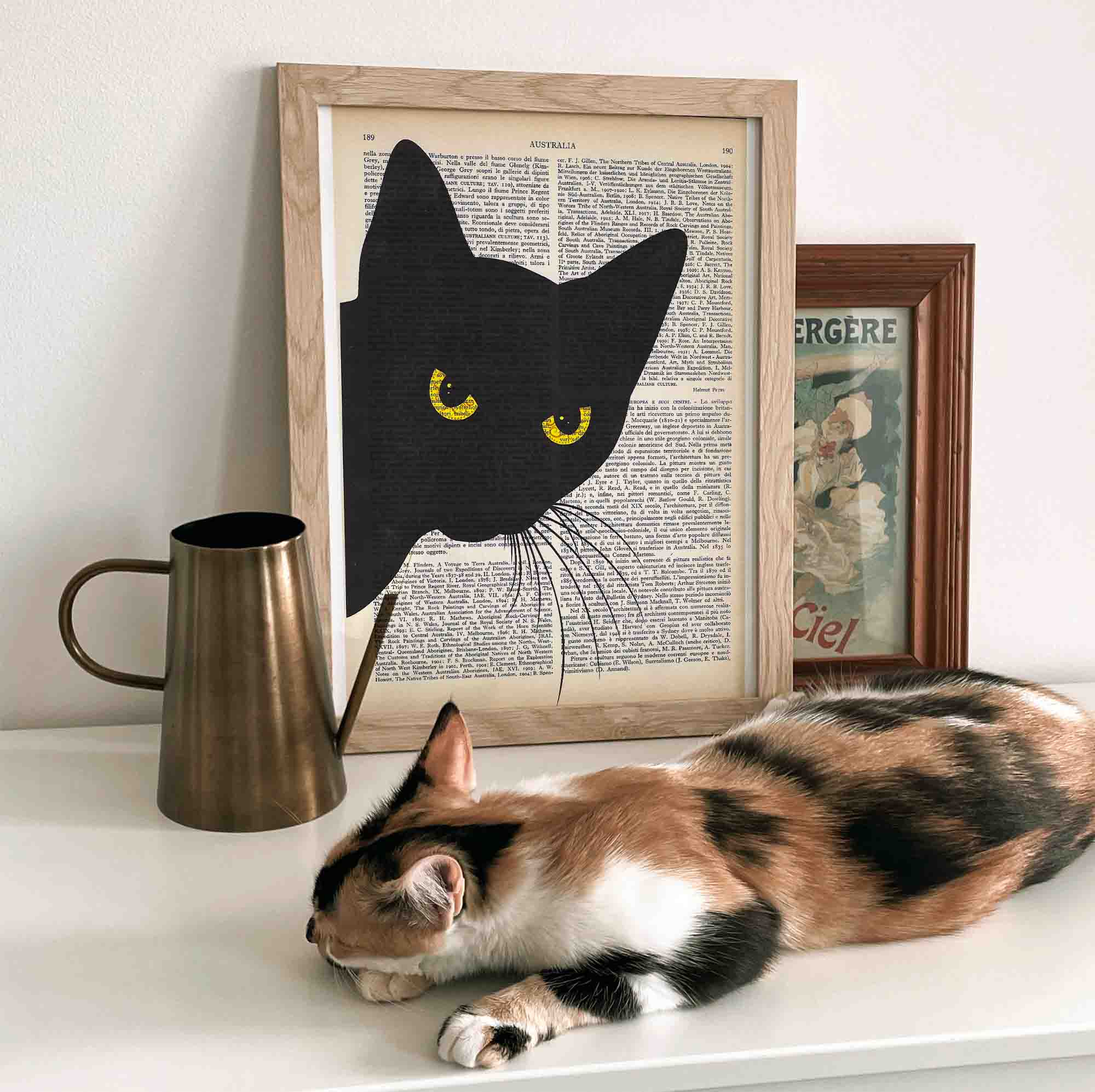 Mix-up: A curious black cat!