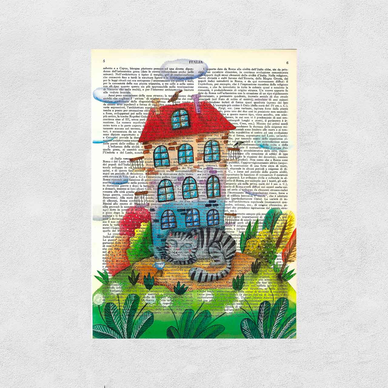 Mix-up: Cat in front of its home