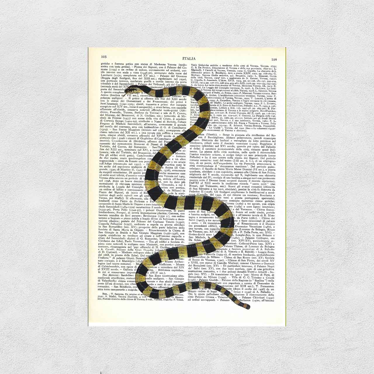 Mix-up: Serpente coraggiosamente a strisce