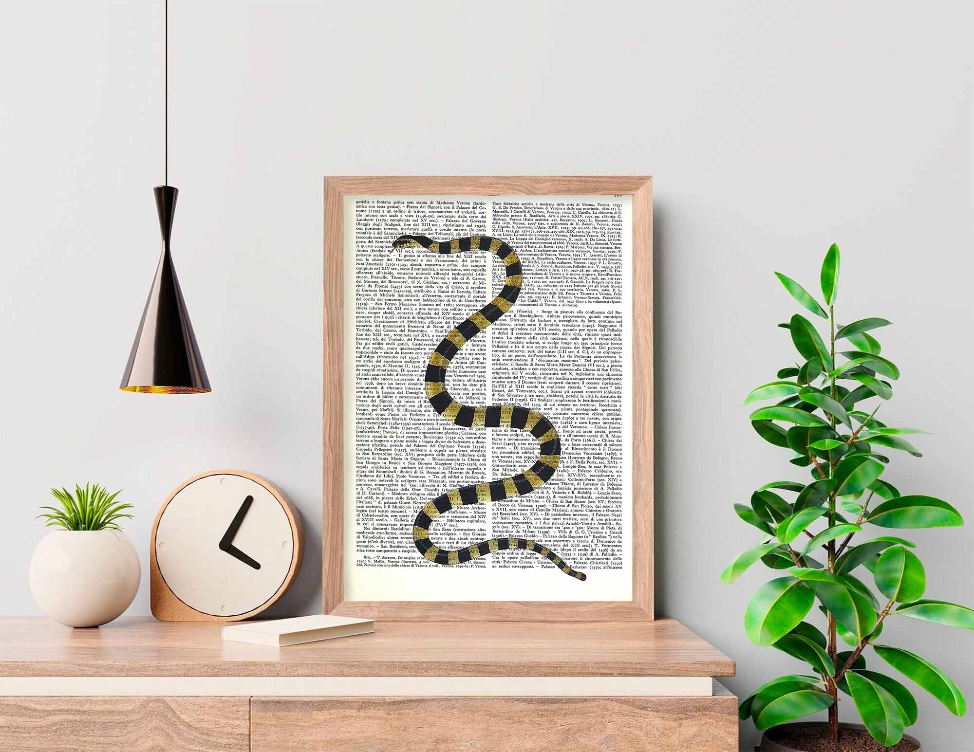 Mix-up: Serpente coraggiosamente a strisce