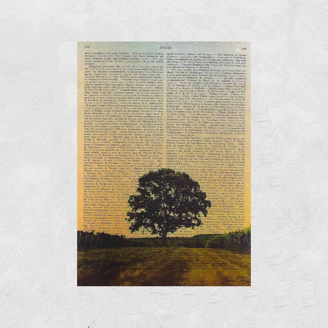 Mix-up: Lonely Tree