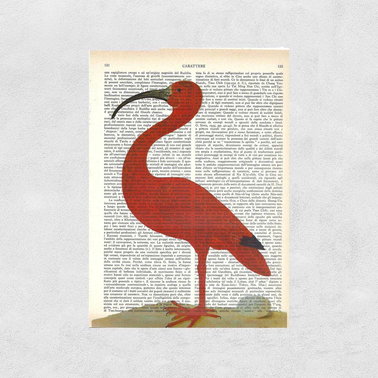 Mix-up: Ibis con uovo, Maria Sibylla Merian