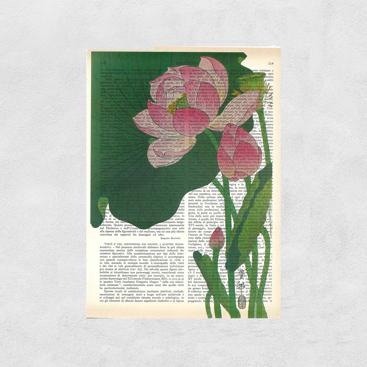 Mix-up: Lotus flowers, Ohara Koson