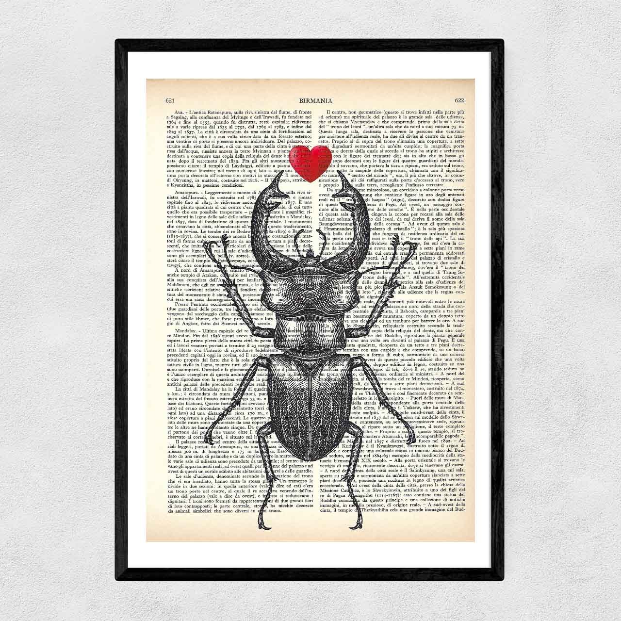 Mix-up: Stag Beetle with Heart